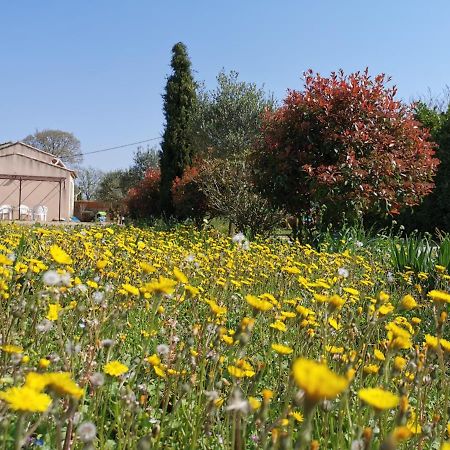 Maison De Vacances L'Hote Champetre Campagne Arlesienne Экстерьер фото